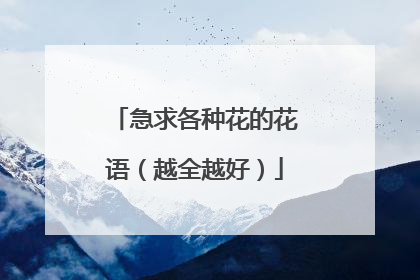 急求各种花的花语（越全越好）