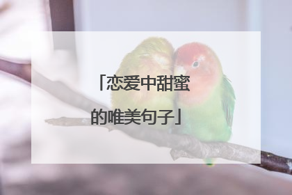 恋爱中甜蜜的唯美句子