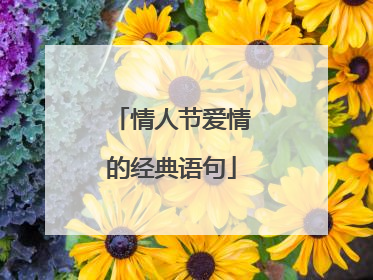 情人节爱情的经典语句