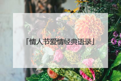情人节爱情经典语录