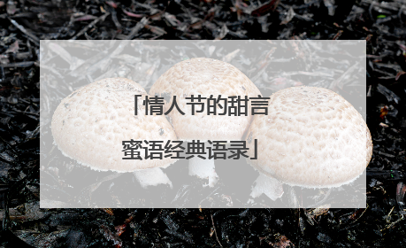 情人节的甜言蜜语经典语录