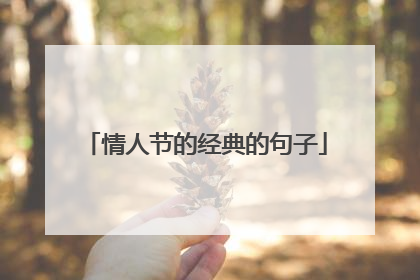 情人节的经典的句子