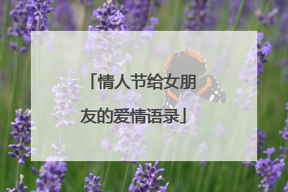 情人节给女朋友的爱情语录