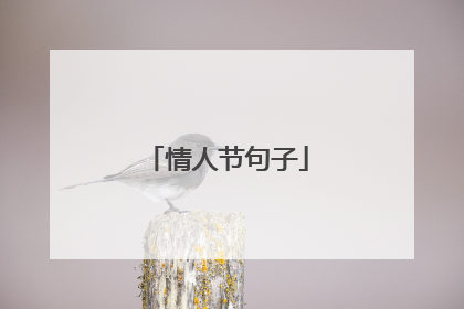 情人节句子