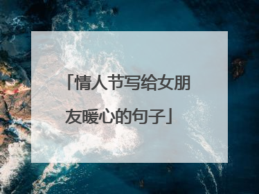 情人节写给女朋友暖心的句子