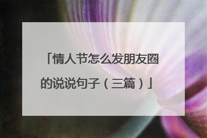 情人节怎么发朋友圈的说说句子(三篇)