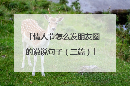 情人节怎么发朋友圈的说说句子(三篇)