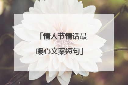 情人节情话最暖心文案短句