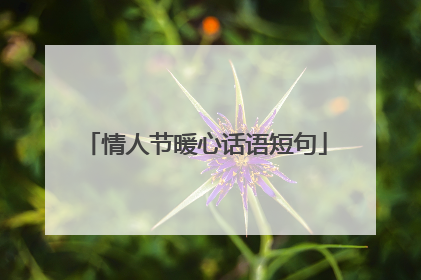 情人节暖心话语短句