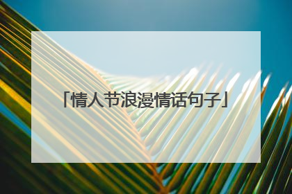 情人节浪漫情话句子