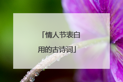 情人节表白用的古诗词