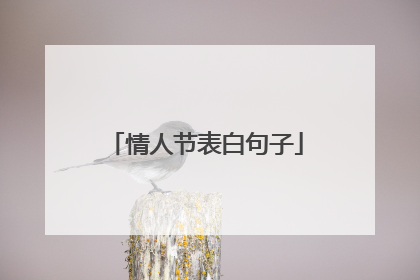 情人节表白句子