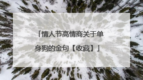 情人节高情商关于单身狗的金句【收藏】