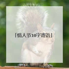 情人节10字寄语