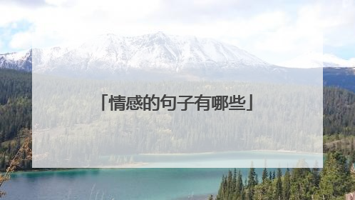 情感的句子有哪些