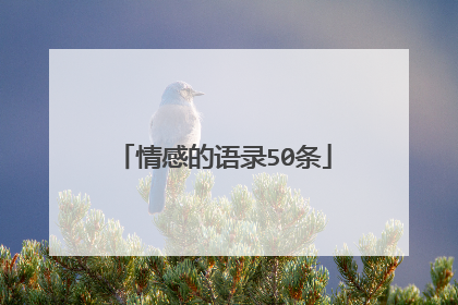 情感的语录50条