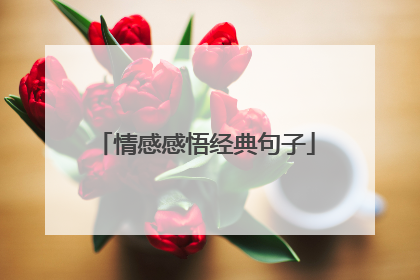 情感感悟经典句子