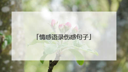 情感语录伤感句子