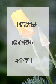 情话最暖心短句4个字