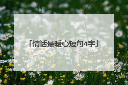 情话最暖心短句4字