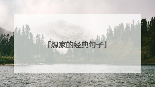 想家的经典句子