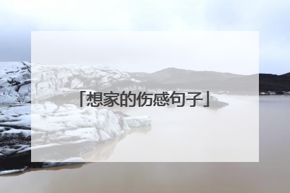 想家的伤感句子