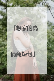 想家的高情商短句