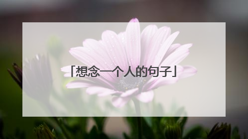 想念一个人的句子