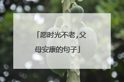 愿时光不老,父母安康的句子