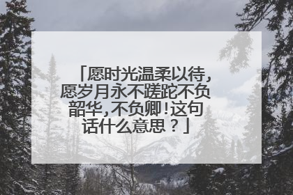 愿时光温柔以待,愿岁月永不蹉跎不负韶华,不负卿!这句话什么意思?