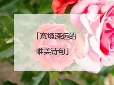 意境深远的唯美诗句