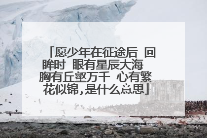 愿少年在征途后 回眸时 眼有星辰大海 胸有丘壑万千 心有繁花似锦,是什么意思