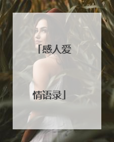 感人爱情语录