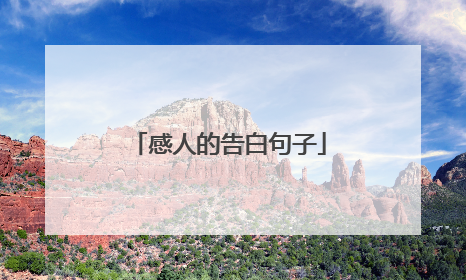 感人的告白句子