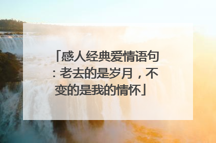 感人经典爱情语句：老去的是岁月，不变的是我的情怀