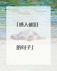 感人催泪的句子