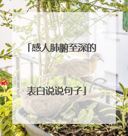 感人肺腑至深的表白说说句子