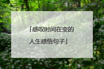感叹时间在变的人生感悟句子