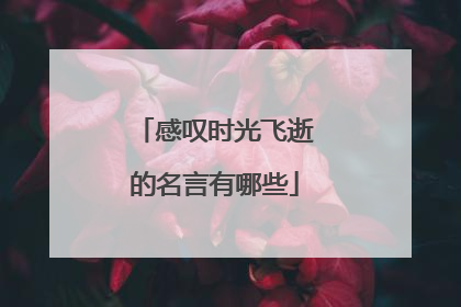 感叹时光飞逝的名言有哪些