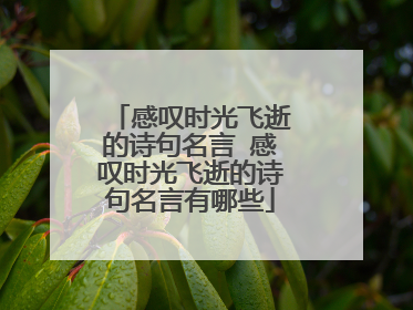 感叹时光飞逝的诗句名言 感叹时光飞逝的诗句名言有哪些