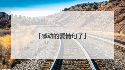 感动的爱情句子