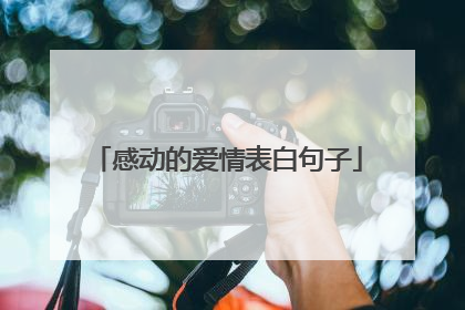 感动的爱情表白句子