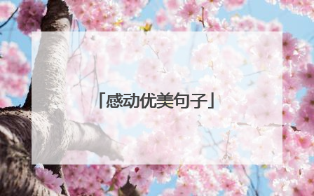 感动优美句子