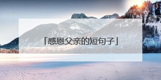 感恩父亲的短句子