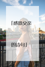 感恩父亲的诗句