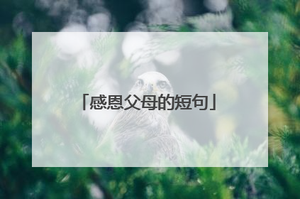 感恩父母的短句