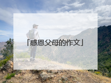 感恩父母的作文