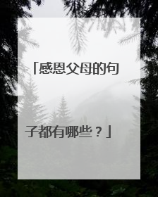 感恩父母的句子都有哪些？