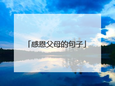 感恩父母的句子