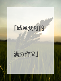 感恩父母的满分作文
